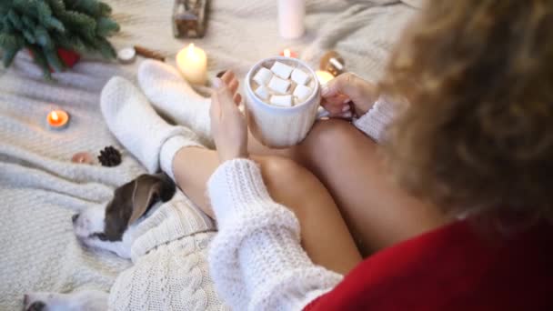 Concepto de Navidad y Navidad. Mujer y perro relajante en casa . — Vídeos de Stock