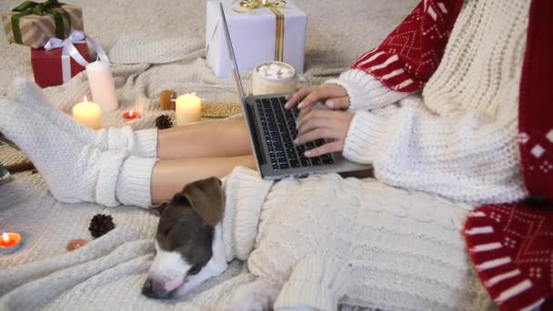 Mulher usando laptop vestindo malhas aconchegantes em casa com cão adormecido. Estilo de vida macio e confortável . — Vídeo de Stock
