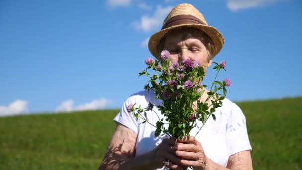 Glad livsstil koncept. Senior kvinna mot blå himmel i grön äng. — Stockvideo