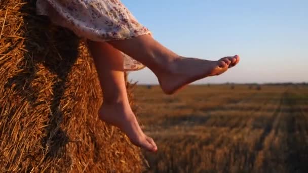 Fechar os pés de baloiço feminino ao pôr do sol no campo de trigo de verão — Vídeo de Stock