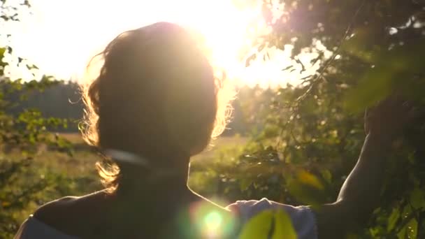 Γυναίκα περπατώντας στο δάσος στο ηλιοβασίλεμα Θαυμάζοντας τη φύση το καλοκαίρι — Αρχείο Βίντεο