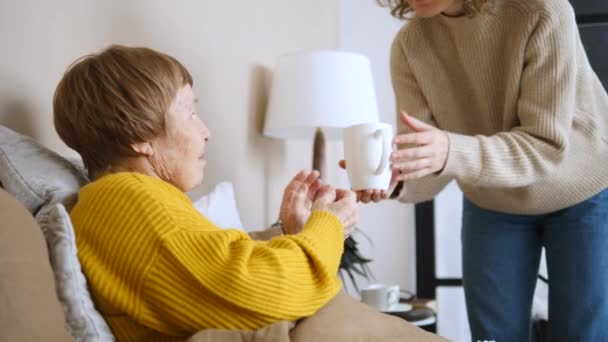 Grandmother With Adult Granddaughter Relaxing At Home. — Stock Video