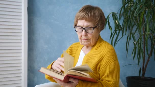 Abuela leyendo un libro — Vídeo de stock