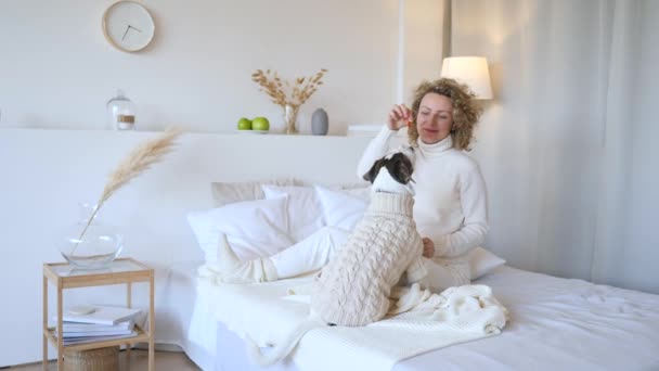 Jong gelukkig meisje knuffelen en spelen met haar hond op bed — Stockvideo