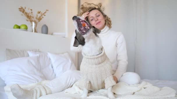 Feliz mujer descansando en cama con divertido lindo perro captura un tratar . — Vídeo de stock