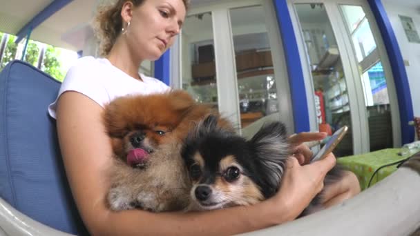 Kvinna Använda smartphone med sällskapsdjur hundar på handen. — Stockvideo