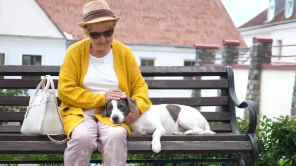 Mulher idosa feliz com cão ao ar livre — Vídeo de Stock