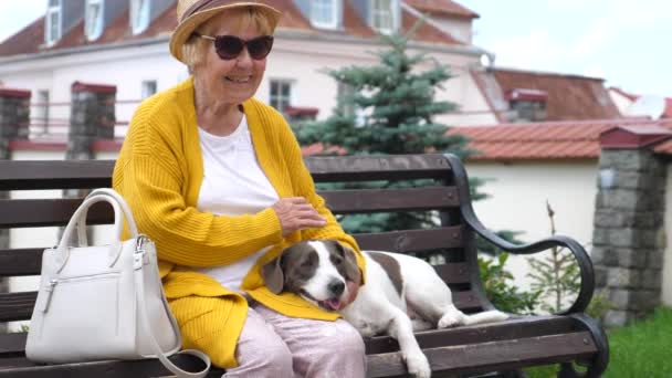 Lächelnde Seniorin sitzt mit Hund im Freien — Stockvideo