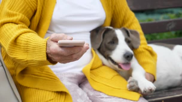 Starsza kobieta ręce za pomocą smartfona Relaks na zewnątrz z psem. — Wideo stockowe