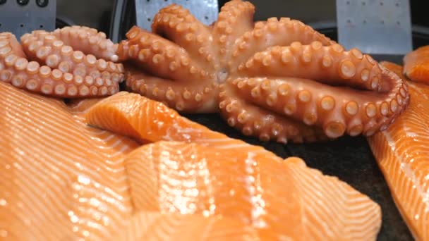 Delicacy van zeevruchten voor fijnproevers tentoongesteld: zalm en octopus. — Stockvideo