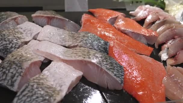 Surtido de pescado crudo en exhibición en el mercado . — Vídeo de stock