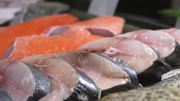 Closeup Of Raw Fresh Fish Steaks On Display — Stok video