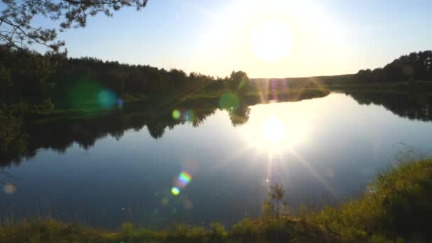 Sonnenuntergang über dem Fluss im Wald — Stockvideo