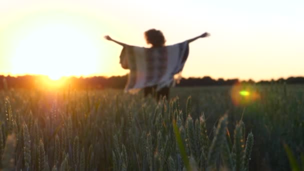 Feliz concepto de estilo de vida saludable. Mujer despreocupada en un campo de trigo al atardecer . — Vídeos de Stock