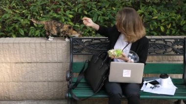 Sokak Kedisi ile Yemek Paylaşan Mutlu İş Kadını