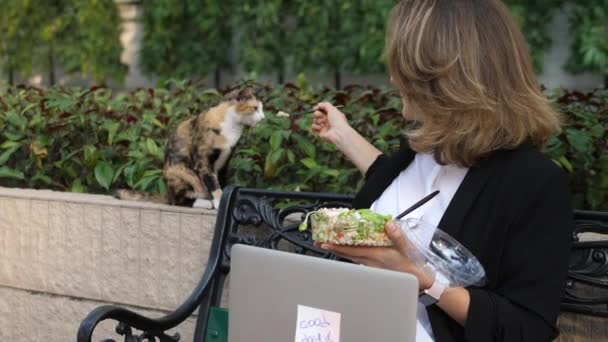 Mujer de negocios con computadora portátil en el almuerzo alimentando a un gato en el parque — Vídeos de Stock