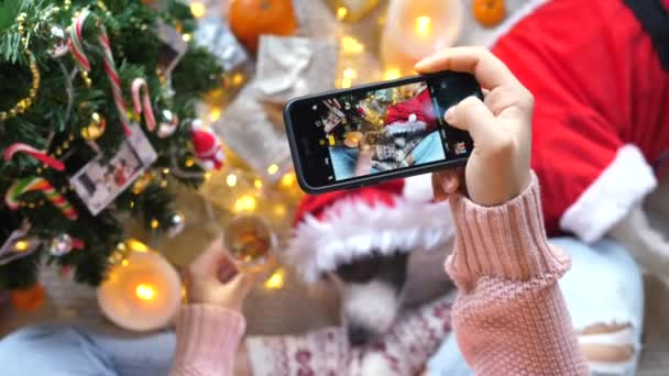 Las manos de la mujer con Smartphone Tomando foto de Santa Perro en Navidad — Vídeos de Stock