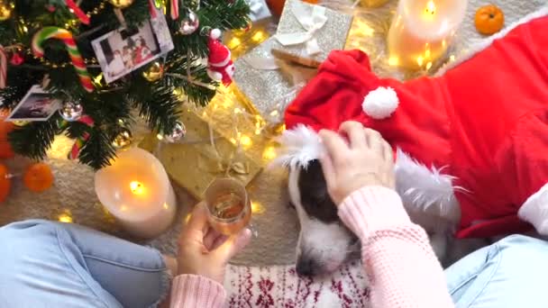 Heimelige gemütliche Frau mit Weihnachtsmann-Hund feiert Weihnachten — Stockvideo