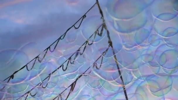 Burbujas en el aire contra el cielo azul crepuscular — Vídeos de Stock