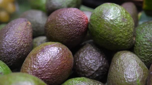 Bunch Of Avocados Closeup. — Stock video