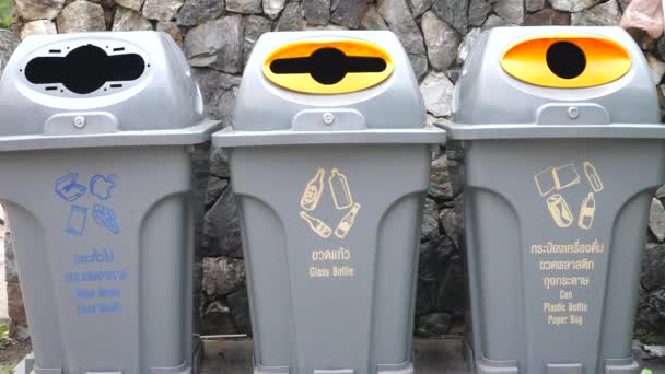 循环再用垃圾桶分隔废物。 减少、再利用、循环利用. — 图库视频影像