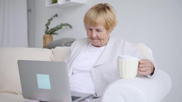 Mulher sênior com laptop relaxante no sofá interior — Vídeo de Stock