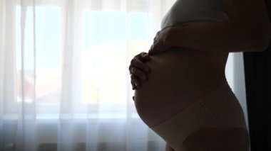 Hamile Göbeğine Dokunan Kadının Silüetinin Kapanışı.