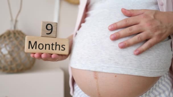 9 meses de gravidez. Mãe grávida esperando por seu futuro bebê . — Vídeo de Stock