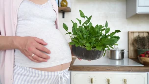 妊娠中の女性の健康的な食事.自宅で有機ほうれん草を栽培. — ストック動画