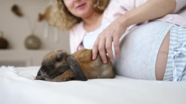 妊娠中の女性はウサギとベッドに横たわっています. — ストック動画