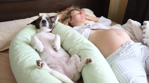 Jeune femme enceinte et son chien dormant au lit avec oreiller de maternité — Video