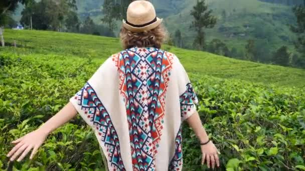 Mujer viajera feliz en poncho y sombrero de paja caminando en la plantación de té — Vídeo de stock