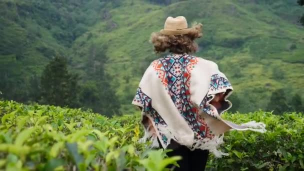 Wolność podróży szczęśliwość koncepcja z kobietą biegnie w plantacji herbaty pole — Wideo stockowe