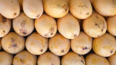 Mango Kapalı Arkaplan