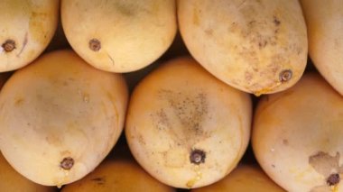 Mango meyveleri. Yakın plan.