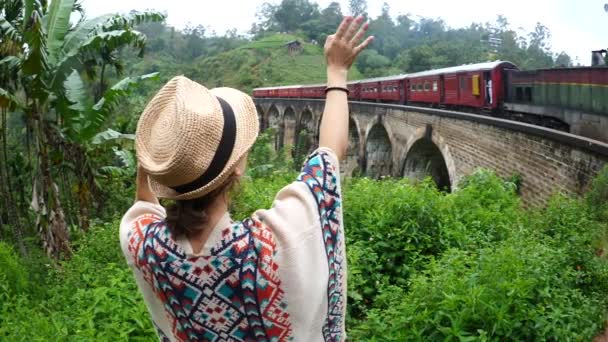 Γυναίκα ταξιδιώτη κυματίζει στο τρένο οδήγηση σε εννέα αψίδα γέφυρα — Αρχείο Βίντεο