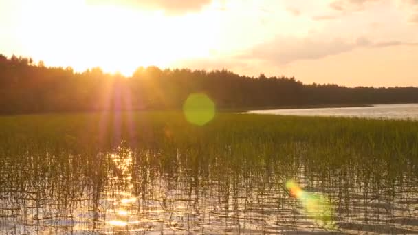 Sonnenuntergang über einem See — Stockvideo