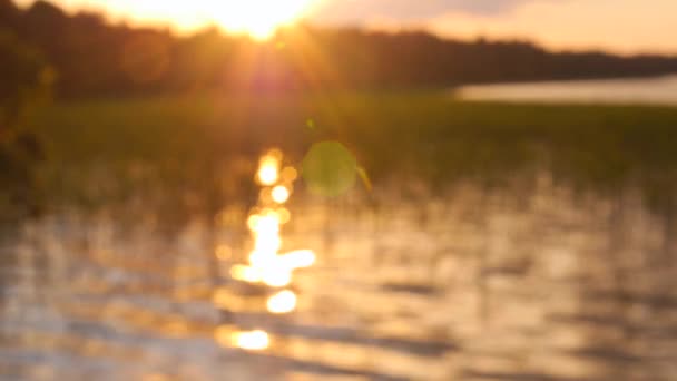 Goldener Sonnenuntergang über einem See und Wald. Natur in Europa. — Stockvideo