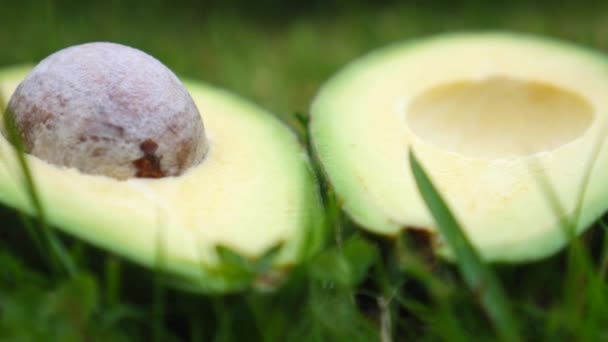 Avocado im grünen Gras. gesunde vegane Ernährung. — Stockvideo