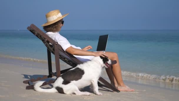 Mulher com laptop relaxante em cadeira de praia com cão na praia junto ao mar — Vídeo de Stock