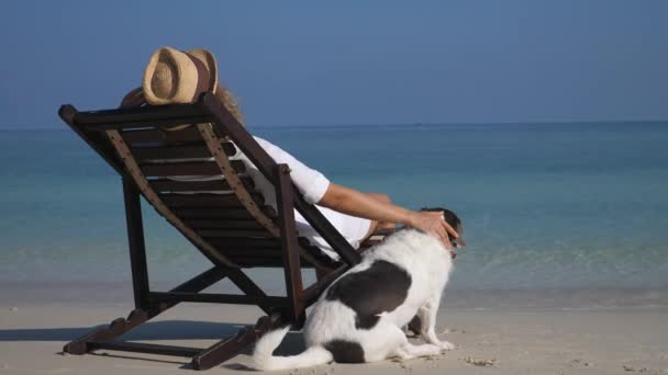 Flicka slappnar av på solstol och Petting hennes sällskapsdjur hund på stranden — Stockvideo