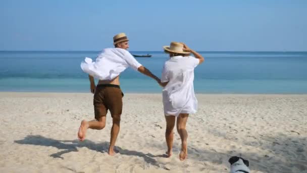 Casal feliz correndo na praia com cão de férias em lua de mel — Vídeo de Stock
