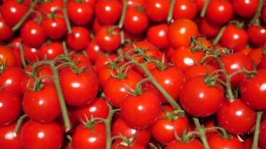 Piyasada Organik Domates Arkaplanı