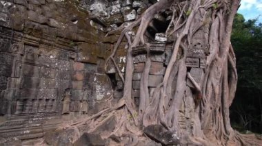 Angkor Wat 'taki Antik Tapınak Kökleri
