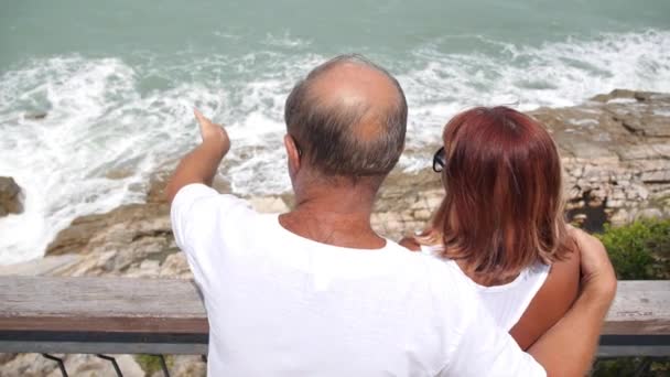 Couple sénior romantique étreignant et regardant la mer en vacances — Video