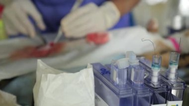 Veterinerlik Veterinerlik Kliniğinde Hayvan Nötrleştirmesi