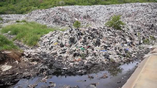 Забруднена ріка сміттям і відходами з місця звалища — стокове відео