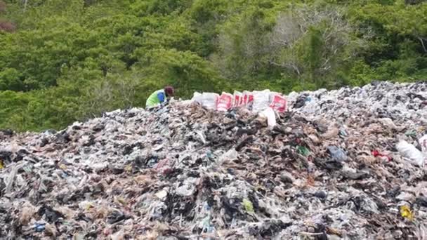 Scavenger Man Dolgozik hulladéklerakó helyén szemetet — Stock videók