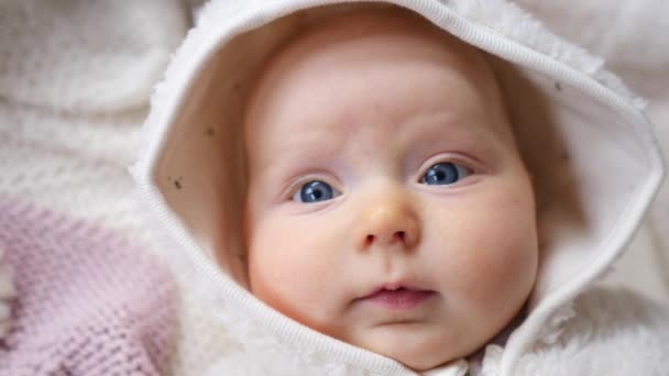 Baby Face With Cute Cheeks And Blue Eyes. Close-Up. — 비디오