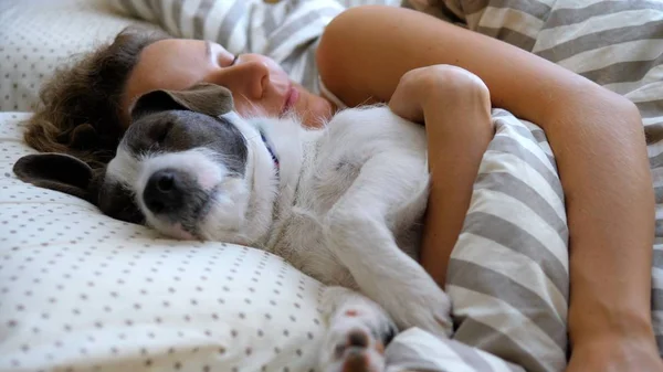 Mädchen und ihr Hund kuscheln sich im Bett. — Stockfoto